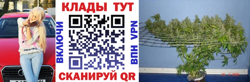 Гашиш Старица
