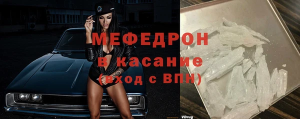 индика Богданович
