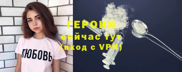 индика Богданович