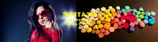 индика Богданович