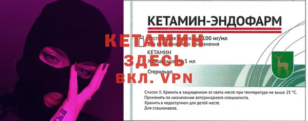 индика Богданович