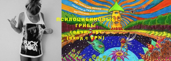 spice Богородск