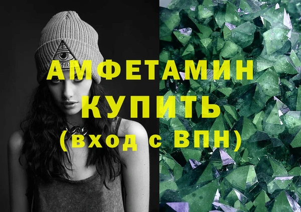 индика Богданович