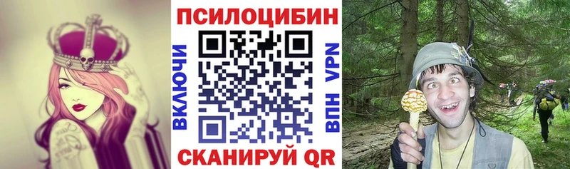 Псилоцибиновые грибы MAGIC MUSHROOMS  даркнет сайт  Старица 