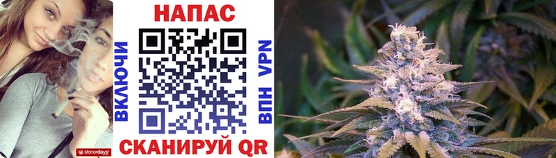 Канабис Ganja  мега онион  Старица 
